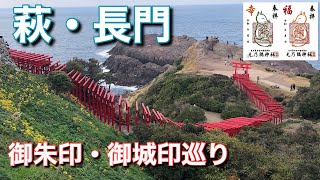 【御朱印】山口県萩市・長門市 松陰神社、東光寺、萩城跡、元乃隅神社【御城印】 [upl. by Ojaras80]