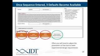 Use of NCBI Databases in qPCR Assay Design [upl. by Pasquale]