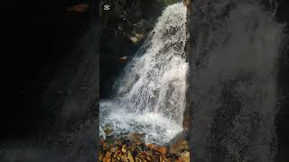 Cascada escondida del rio Moros senderismo hiking rutasdesenderismo cascada waterfall shorts [upl. by Gnap]