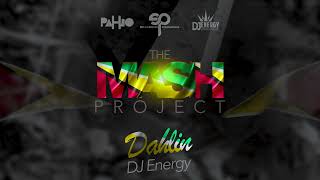 DJ Energy  Dahlin  Mash Project GUYANA SOCA 2023 [upl. by Ahsilla967]