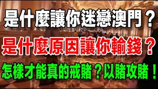 是什麼讓你如此迷戀澳門？是什麼原因讓你輸錢？怎樣才能真正的戒賭？不賭並不是真的戒賭！ [upl. by Siloa]