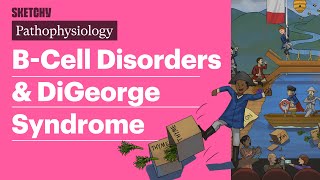 Cell Disorders amp DiGeorge Syndrome Pathophysiology  Sketchy Medical [upl. by Ralph]