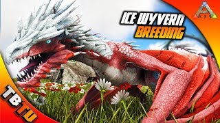 ARK ICE WYVERN BREEDING AND MUTATIONS Ice Wyvern Baby Imprinting Ark Survival Evolved [upl. by Eiramik]