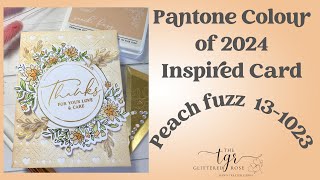 Pantone Color Of The Year Peach Fuzz Inspired Card using Pinkfresh Studio Stamps amp Inks [upl. by Cortie]