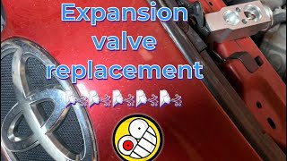 How to change an expansion valve [upl. by Rafter667]