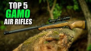 Top 5 Best Gamo Air Rifles  Madman Review [upl. by Violante248]