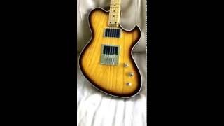 Newman Guitars 5 string open G electric Handcrafted in USA Serial  50004 [upl. by Micheline722]