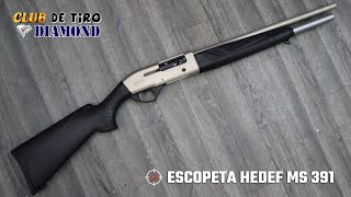 ESCOPETA Hedef 391SW Semiautomática🎯Traumática Cal 12 mm [upl. by Adnoek]