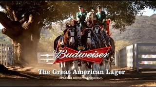 10 Famous Budweiser Super Bowl Commercials [upl. by Eldnek]