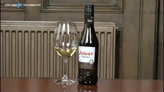 Barbadillo Solear Manzanilla Sherry wine review [upl. by Oringas]