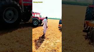 640 vs Mf 385 tractor strongtractor short [upl. by Analad]