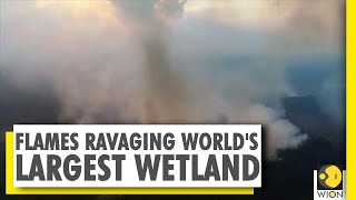 Pantanal  Brazil fires threaten worlds largest wetland  WION News  World News [upl. by Ayalahs]