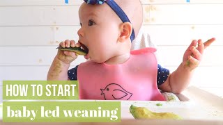 BABY LED WEANING HOW TO START amp DO IT RIGHT [upl. by Concha]