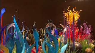 Chihuly Museum in Seattle WA [upl. by Fernald]