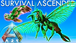 Ark Survival Ascended  Rhyniognatha Taming Giant Bug ASA E33 Ark Ascended Gameplay [upl. by Jacoba]