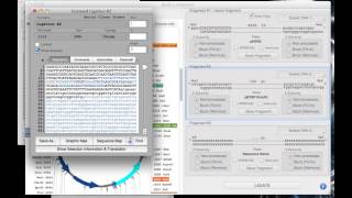 Subcloning using Serial Cloner [upl. by Nikita827]