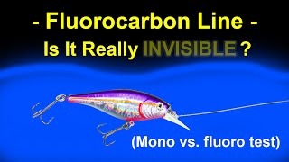 Fluorocarbon vs Monofilament Lines  Visibility Test Underwater [upl. by Jasun]