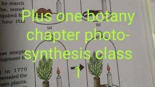 Plus one botany chapter photosynthesis class 1 [upl. by Sneve]