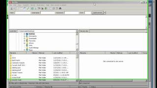 Use Windows IIS7 FTP and FTPS to host multiple websites  Part 6 [upl. by Neelrad]