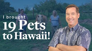 Moving To Hawaii With Pets  One Clients Experience With 19 Pets [upl. by Read]