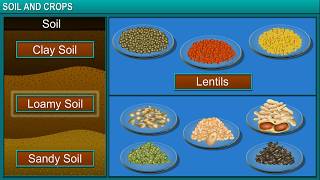 TeachNext  CBSE Grade 7  Science  Soil and Crops [upl. by Caravette]