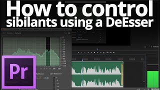 HOW TO control sibilants using a DeESSER 💻 [upl. by Seema]