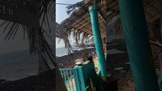 Goa sneak peak trending northgoa goavlog2024 India dance music travel ytshorts russian [upl. by Rosenzweig]