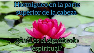 Hormigueo en la parte superior de la cabeza ¿Cuál es el significado espiritual [upl. by Ellene]