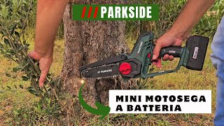 Mini MOTOSEGA PARKSIDE A BATTERIA 20 VOLT [upl. by Ylla]