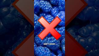 BLUE RASPBERRIES DO NOT EXIST [upl. by Othello250]