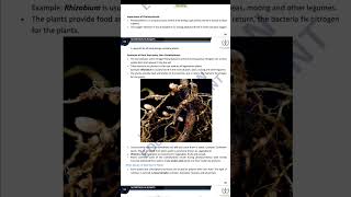 Plant Nutrition Explained Essential Nutrients for Growth 🌿 Shorts Notes [upl. by Sateia791]