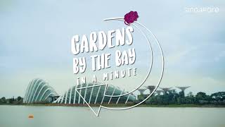 Gardens by the Bay  Singapore in a Minute [upl. by Heigl]