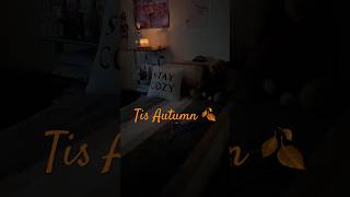 Crisp leaves 🍂 hot chocolate ☕️ fall shows that’s autumn 🍁minivlog autumn cozy [upl. by Charlotte]