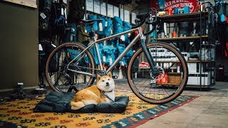 DREAM BUILD GRAVEL BIKE  Sonder Camino Ti [upl. by Naellij221]