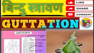 Guttation बिन्दु स्त्रावण Plant physiology topic [upl. by Ydur]