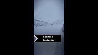 Snowfall in Saudi Arabia [upl. by Aramaj]