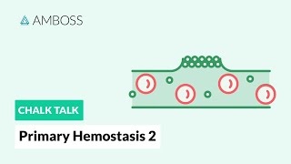 Primary Hemostasis  Part 2 Platelet Activation [upl. by Tacy]