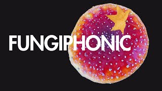 Fungiphonic Amanita Muscaria Ep 3 [upl. by Bunny]