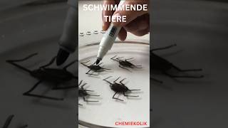 Schwimmende Spinnechemie AGExperimentschule [upl. by Si]