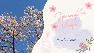 Spring Vlog Avril 2024 17 [upl. by Adnuhsar]