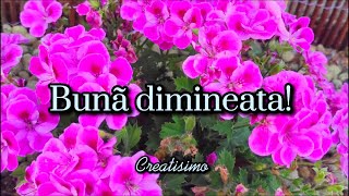 Buna dimineata 🌈☀️O zi minunata iti doresc  Mesaje frumoase si felicitari muzicale 🎼🎵🎶 [upl. by Eibrab358]