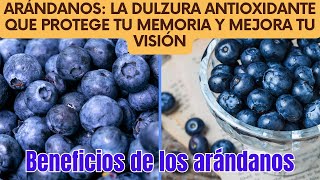 Arándanos La Dulzura Antioxidante que Protege tu Memoria y Mejora tu Visión [upl. by Awe]