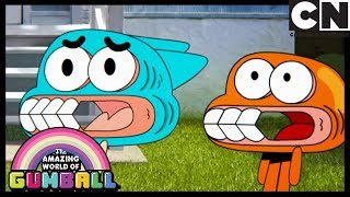 O Primata  O Incrível Mundo de Gumball  Cartoon Network [upl. by Annad]