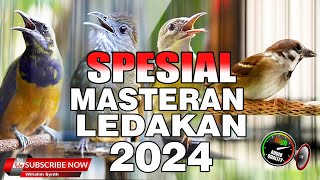 MASTERAN SPESIAL LEDAKAN 2024 KOMPILASI MEWAH UNTUK SEMUA JENIS BURUNG MURAI BATU DAN CUCAK IJO [upl. by Seth]