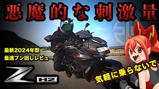 【ZH2】全てのバイクを過去にする！悪魔と契約してコレを買おう【Kawasakiカワサキ2024年最新型】 [upl. by Aramo488]