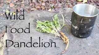 Wild Food  Dandelion Dandelion Coffee and Nitsuke style root Plus a Couple of Thank Yous [upl. by Blackman384]