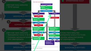 ACLS Protocol for Pulseless Electrical activity norcet7 norcet7papersolution rncctestseries [upl. by Amerak]