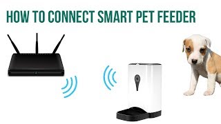 Connecting Smart Pet Feeder by FEEDEM [upl. by Temp594]