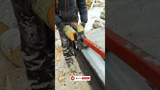 Crazy Firewood Processing Shorts Woodworking woodsplitter [upl. by Enilesoj]