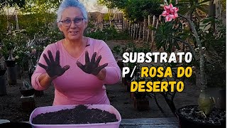 O Segredo do SUBSTRATO para Rosa do Deserto IDEAL para FLORAÇÃO [upl. by Odlaw997]